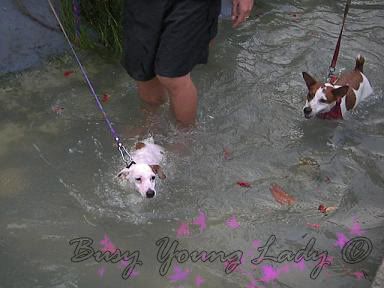 Image hosting by Photobucket