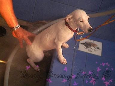 Image hosting by Photobucket