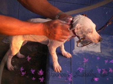 Image hosting by Photobucket