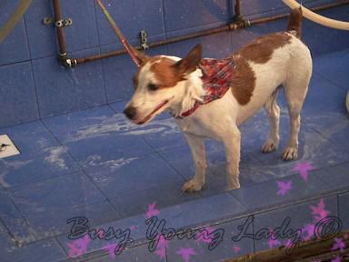 Image hosting by Photobucket