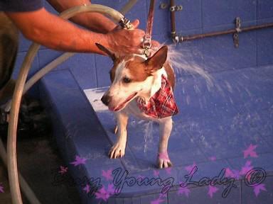 Image hosting by Photobucket