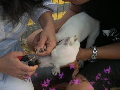 Image hosting by Photobucket