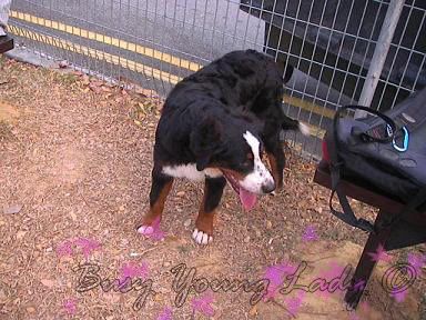 Image hosting by Photobucket