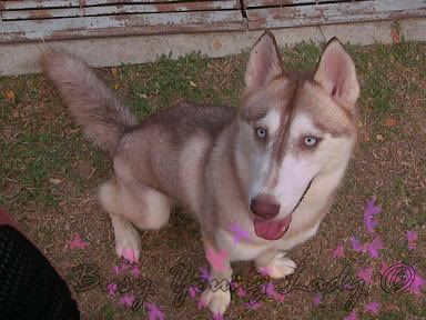 Image hosting by Photobucket