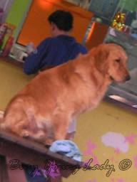 Image hosting by Photobucket