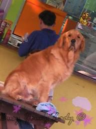 Image hosting by Photobucket