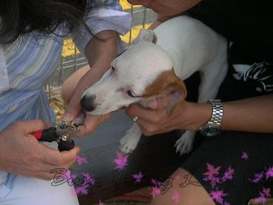 Image hosting by Photobucket