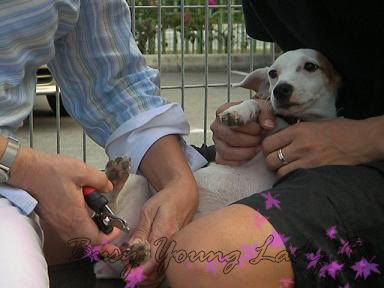 Image hosting by Photobucket