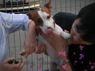 Image hosting by Photobucket