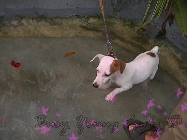 Image hosting by Photobucket