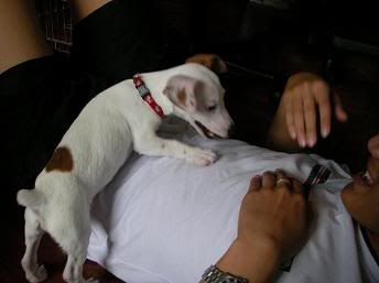 Image hosted by Photobucket.com