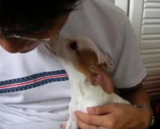 Image hosted by Photobucket.com