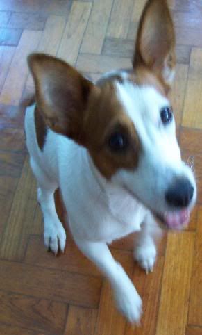 Image hosted by Photobucket.com