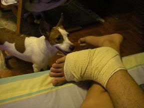 Image hosted by Photobucket.com