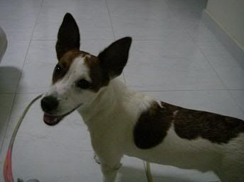 Image hosted by Photobucket.com