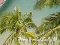 Image hosting by Photobucket