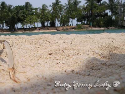 Image hosting by Photobucket