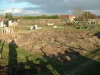 Before manure