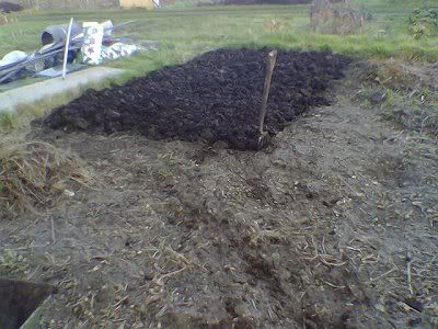 First session of digging the new plot