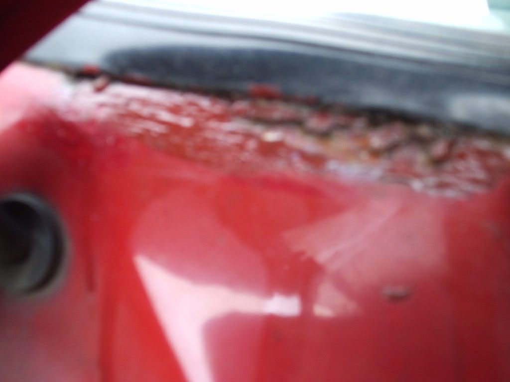 windscreen2.jpg