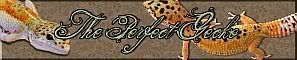 The Perfect Gecko