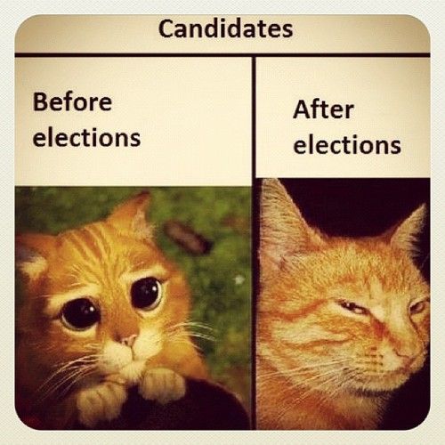 Candidates.jpg