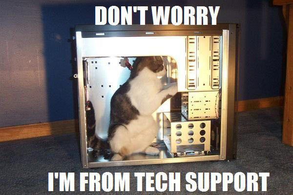 _tech_support_cat.jpg