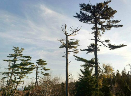 IMAGE: http://i23.photobucket.com/albums/b382/supersignet/final1of1.jpg