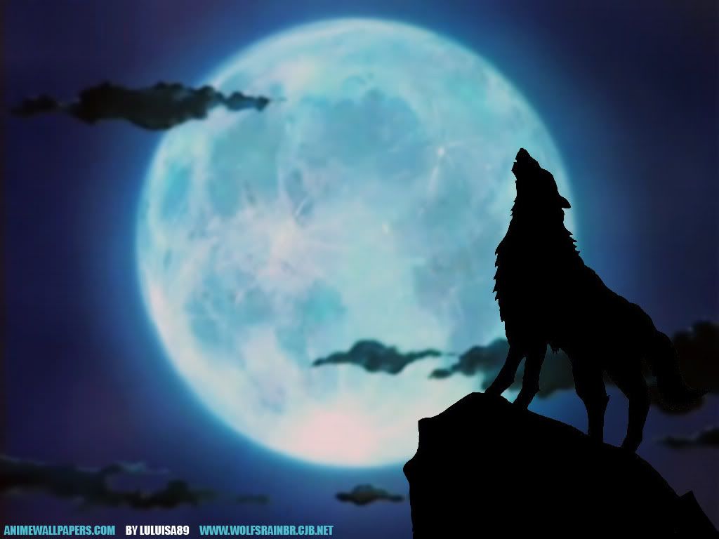 Howling Wolf Wallpaper | Howling Wolf Background for Desktops