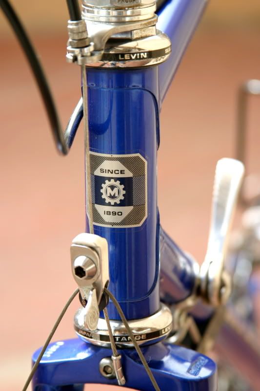 metallic blue bike paint