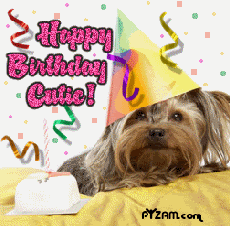 Happy Birthday, Cake, Dog Pictures, Images and Photos