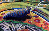 4Directions_May03_2012_ToadstoolDetail.png image by crustaceancrusty