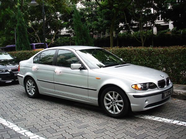 DSC08278.jpg