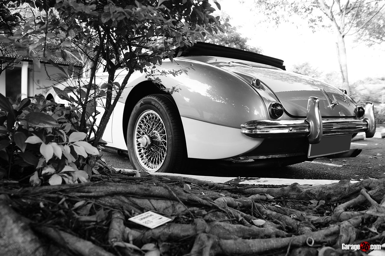 DSC04322.jpg~original