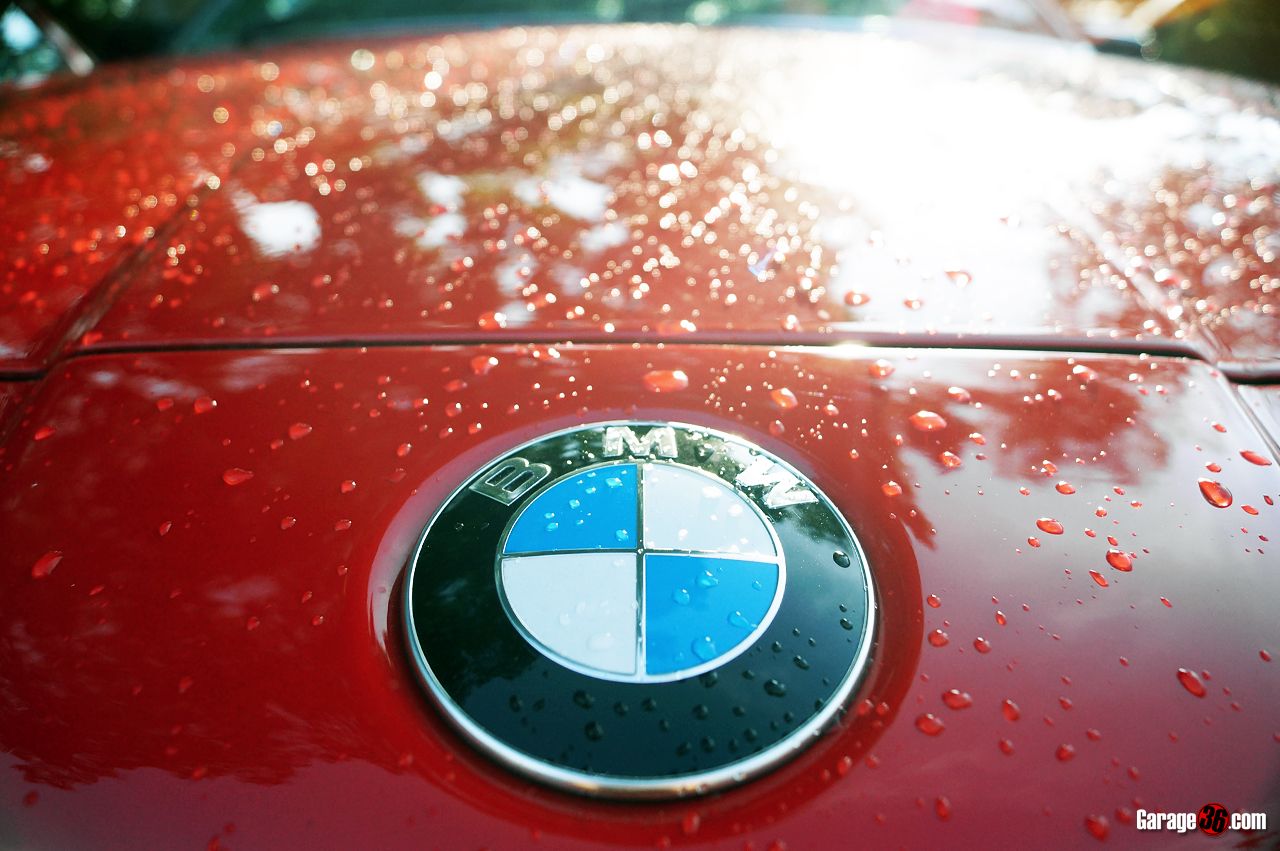 DSC04349.jpg~original