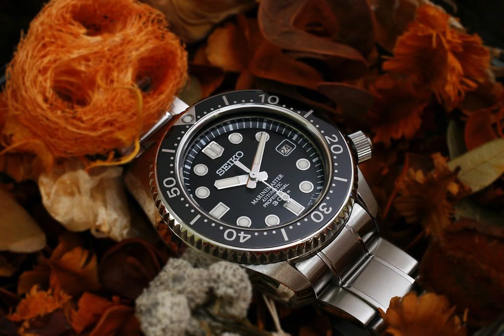 http://i23.photobucket.com/albums/b384/watchboy1/Watches/SEIKO%20MARINEMASTER%20300m/MM09.jpg