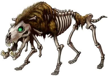 Boar Skeleton