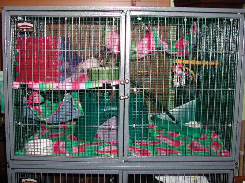 My Ferret Nation Cage