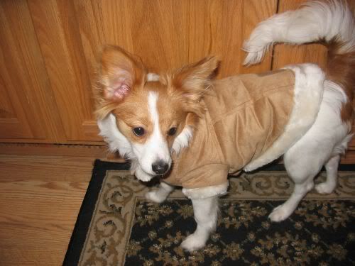 BitsJacket.jpg