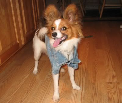 Denim1.jpg