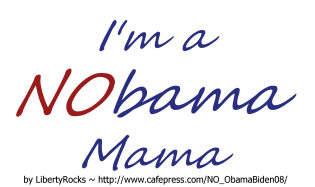 I'm a NObama Mama