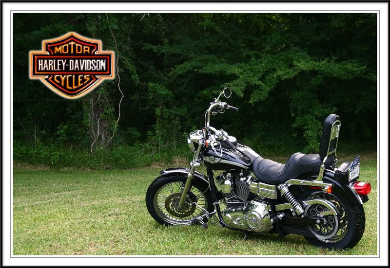 IMAGE: http://i23.photobucket.com/albums/b386/atgrzymala/IMG_4387sm.jpg