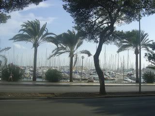 mallorca098.jpg