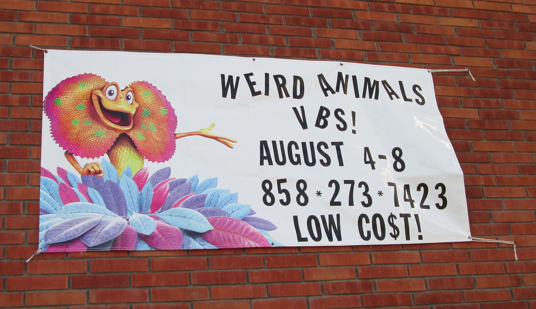 VBS 2014 outside sign