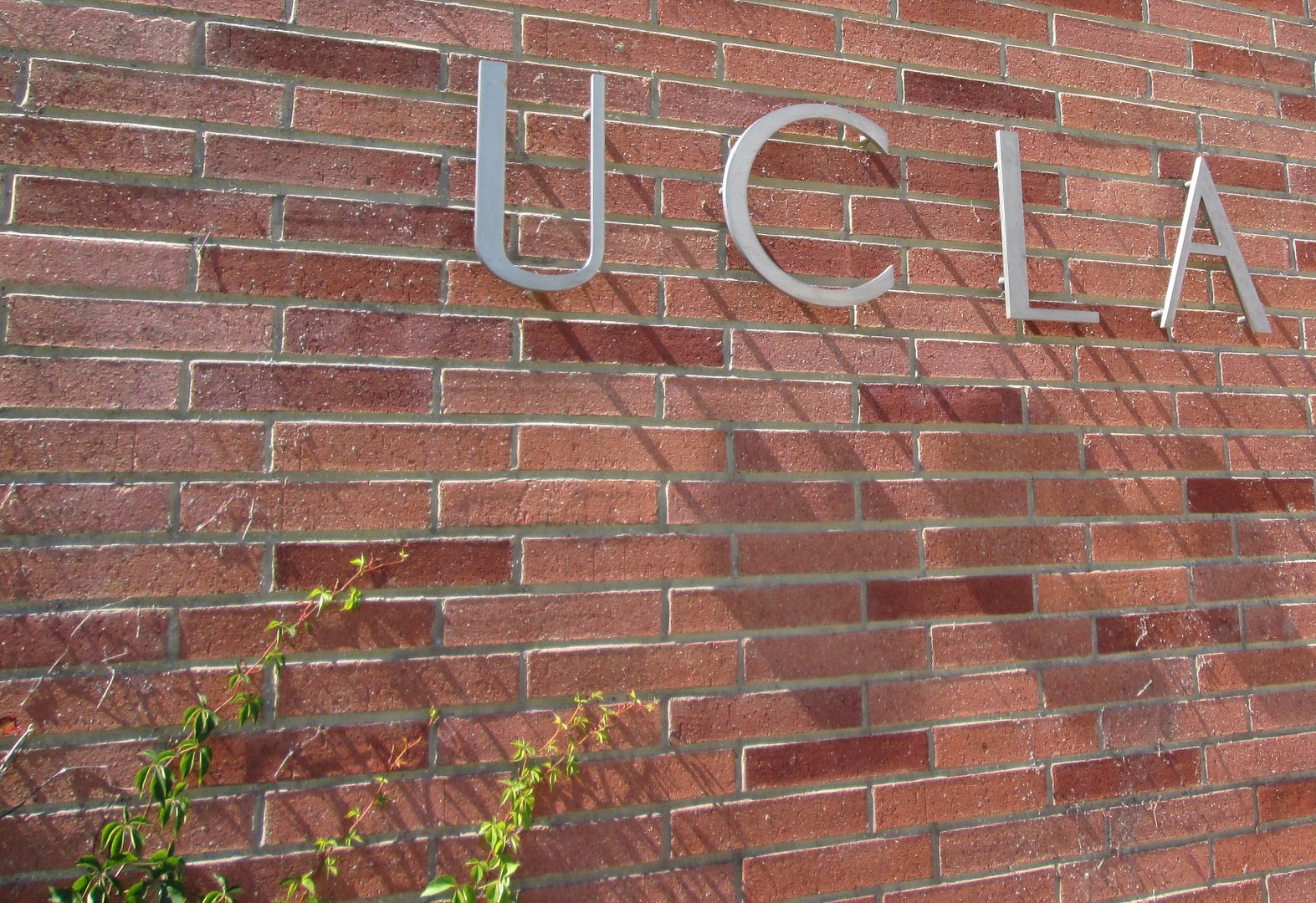UCLA west campus