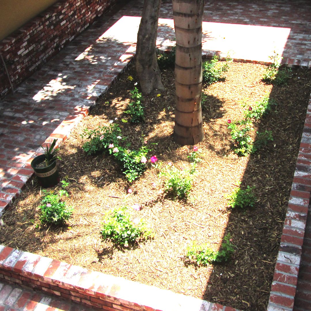 San Fernando Valley courtyard