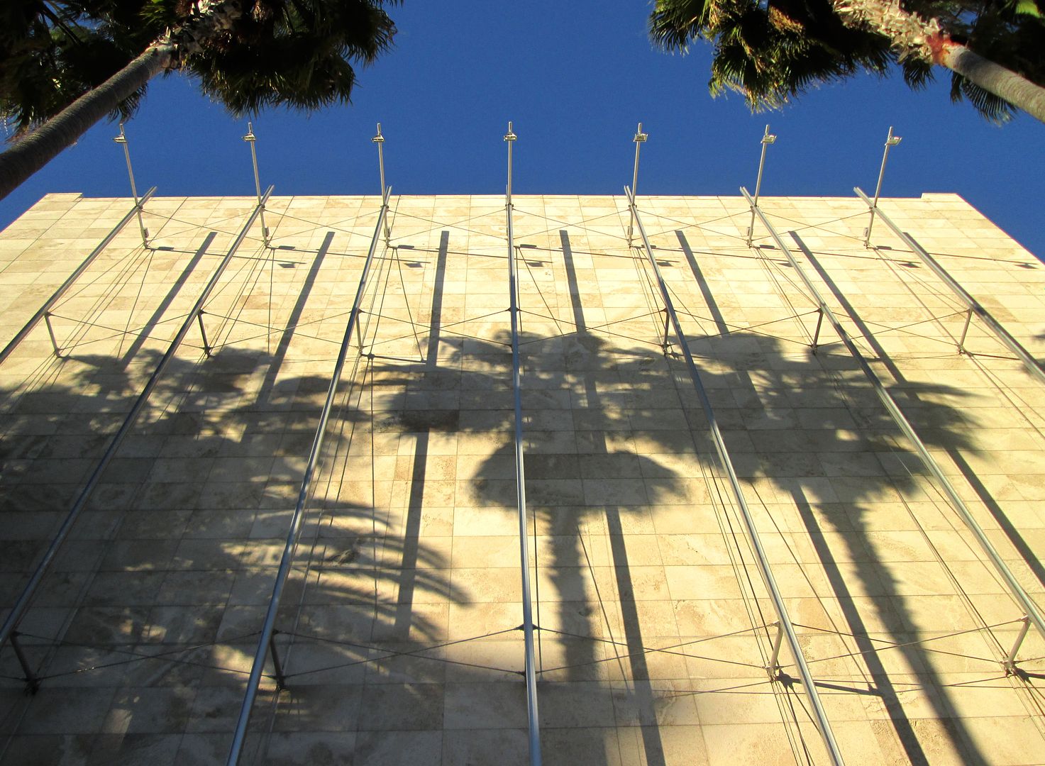 LACMA with Palms