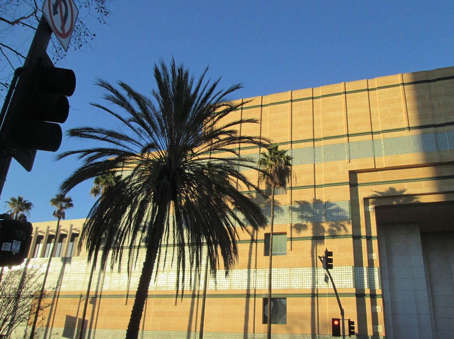 LACMA with palms and traffic signal silhouette