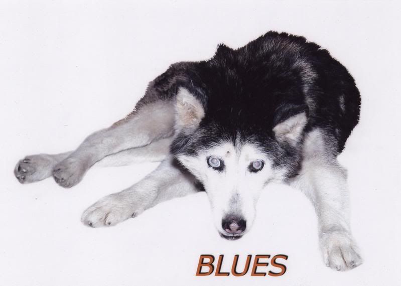 Blues