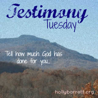testimony Tuesday